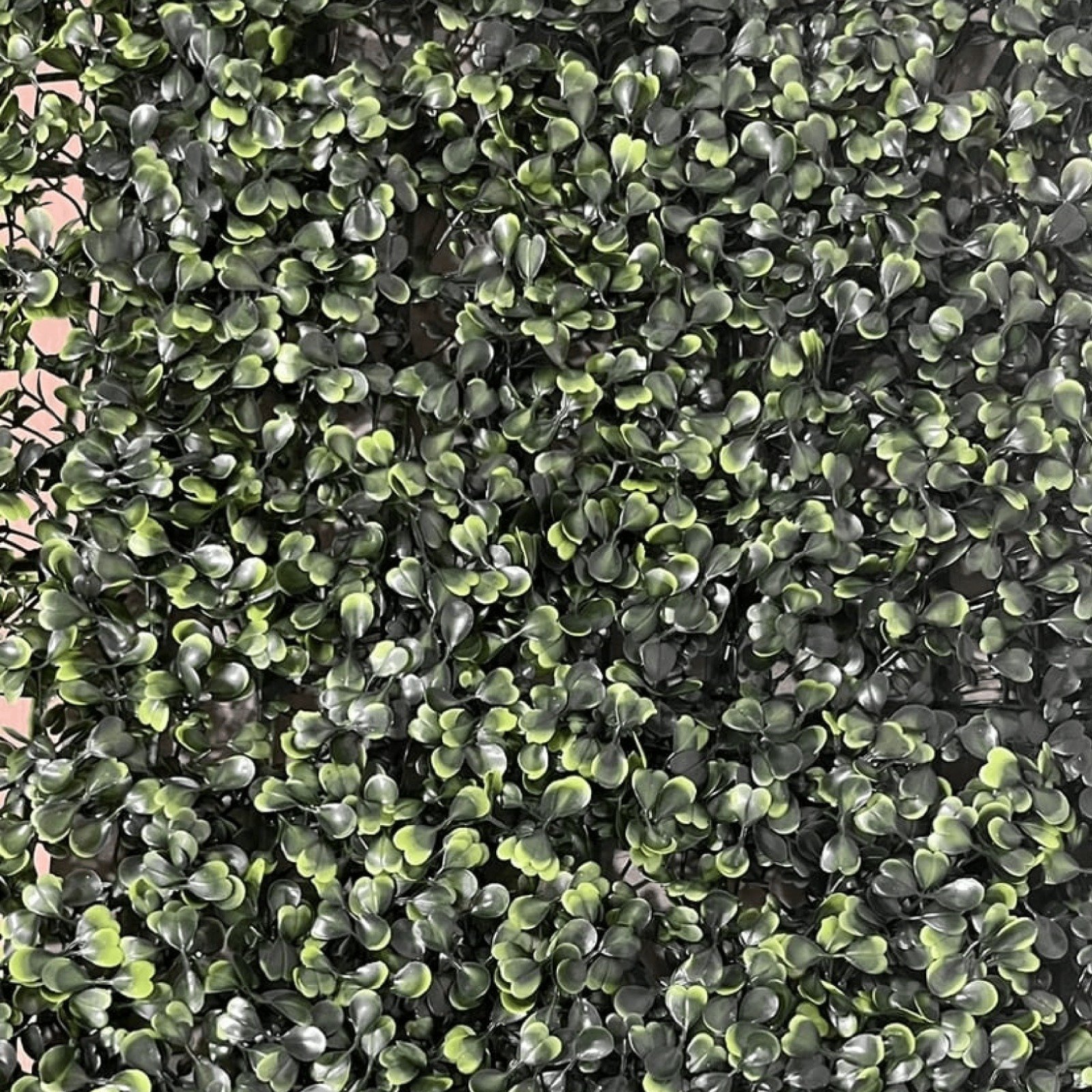 Jardín Vertical Interior 60x40 cm