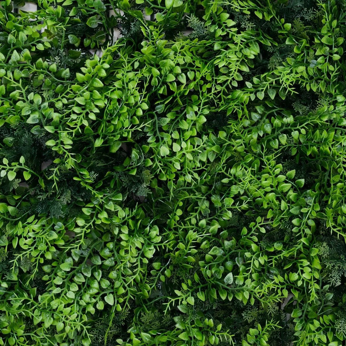Jardín Vertical Amazonas Exterior 50x50 cm